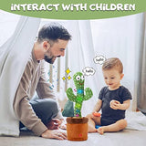 THE CACTUS TOY