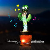 THE CACTUS TOY
