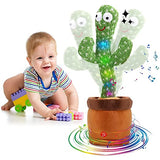THE CACTUS TOY