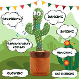 THE CACTUS TOY