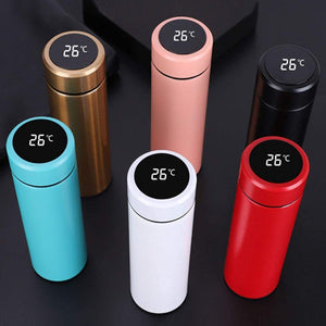 Stainless Steel Water Bottle with Smart LED Temperature Display